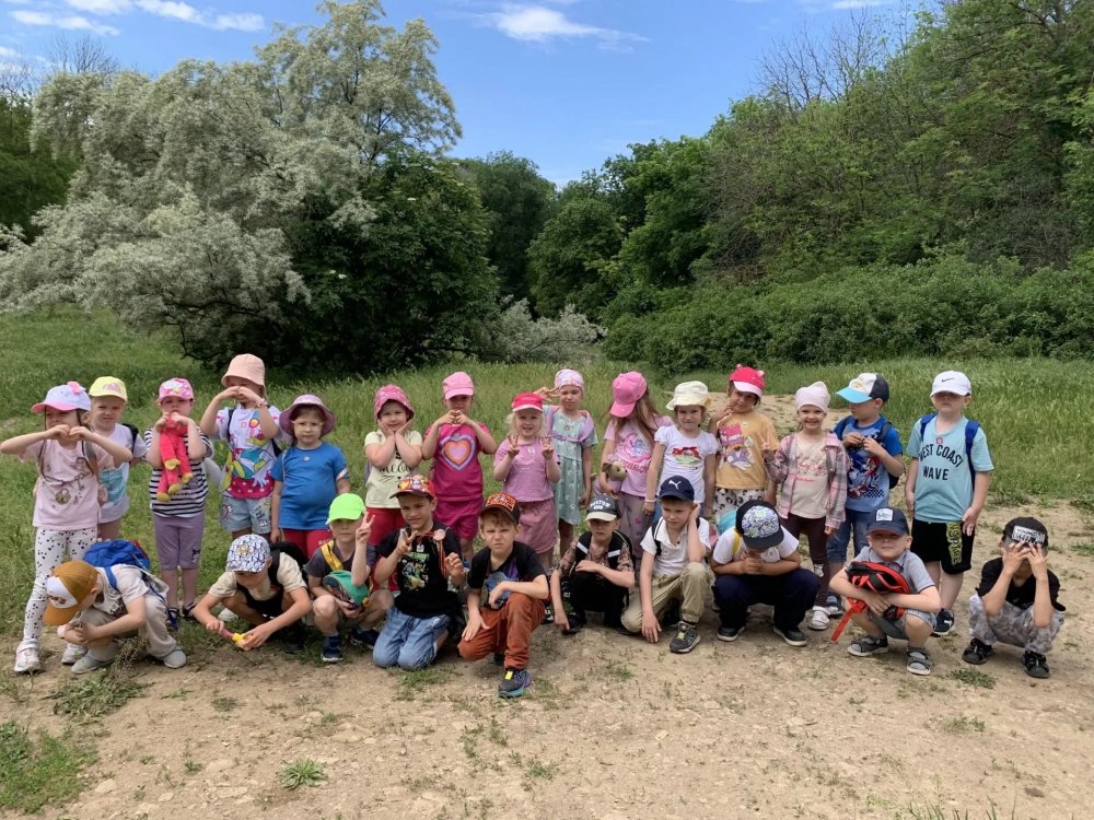 img (2)